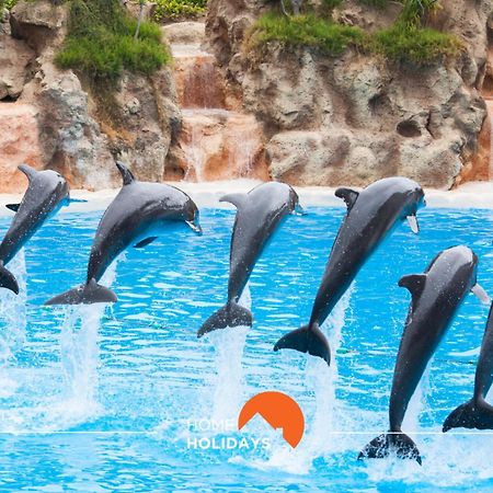 #082 Sao Rafael By Home Holidays البوفيرا المظهر الخارجي الصورة